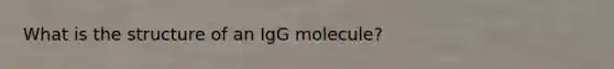 What is the structure of an IgG molecule?