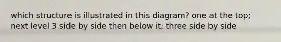 which structure is illustrated in this diagram? one at the top; next level 3 side by side then below it; three side by side