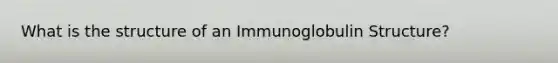 What is the structure of an Immunoglobulin Structure?