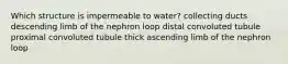 Which structure is impermeable to water? collecting ducts descending limb of the nephron loop distal convoluted tubule proximal convoluted tubule thick ascending limb of the nephron loop