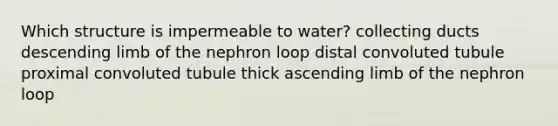 Which structure is impermeable to water? collecting ducts descending limb of the nephron loop distal convoluted tubule proximal convoluted tubule thick ascending limb of the nephron loop