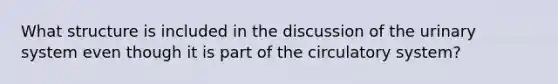 What structure is included in the discussion of the urinary system even though it is part of the circulatory system?