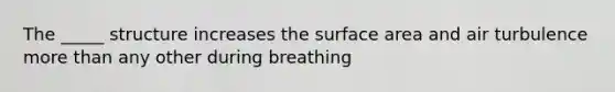 The _____ structure increases the surface area and air turbulence more than any other during breathing