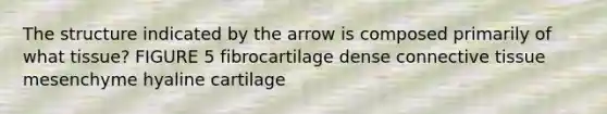 The structure indicated by the arrow is composed primarily of what tissue? FIGURE 5 fibrocartilage dense connective tissue mesenchyme hyaline cartilage