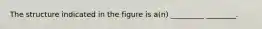 The structure indicated in the figure is a(n) _________ ________.