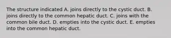 The structure indicated A. joins directly to the cystic duct. B. joins directly to the common hepatic duct. C. joins with the common bile duct. D. empties into the cystic duct. E. empties into the common hepatic duct.