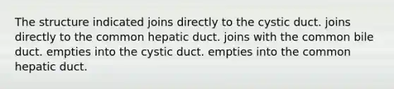 The structure indicated joins directly to the cystic duct. joins directly to the common hepatic duct. joins with the common bile duct. empties into the cystic duct. empties into the common hepatic duct.