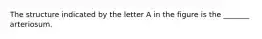 The structure indicated by the letter A in the figure is the _______ arteriosum.