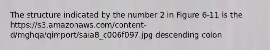 The structure indicated by the number 2 in Figure 6-11 is the https://s3.amazonaws.com/content-d/mghqa/qimport/saia8_c006f097.jpg descending colon