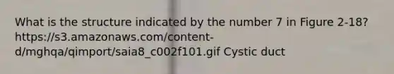 What is the structure indicated by the number 7 in Figure 2-18? https://s3.amazonaws.com/content-d/mghqa/qimport/saia8_c002f101.gif Cystic duct