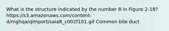 What is the structure indicated by the number 8 in Figure 2-18? https://s3.amazonaws.com/content-d/mghqa/qimport/saia8_c002f101.gif Common bile duct