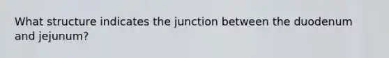 What structure indicates the junction between the duodenum and jejunum?