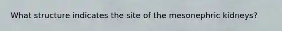 What structure indicates the site of the mesonephric kidneys?