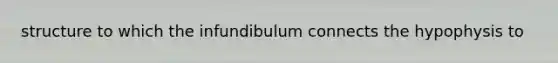 structure to which the infundibulum connects the hypophysis to