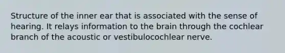 Structure of the inner ear that is associated with the sense of hearing. It relays information to the brain through the cochlear branch of the acoustic or vestibulocochlear nerve.