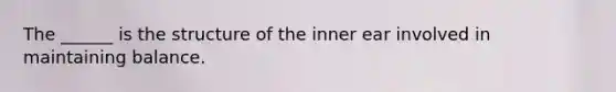 The ______ is the structure of the inner ear involved in maintaining balance.