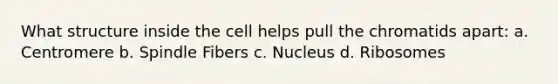 What structure inside the cell helps pull the chromatids apart: a. Centromere b. Spindle Fibers c. Nucleus d. Ribosomes