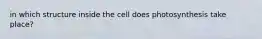 in which structure inside the cell does photosynthesis take place?