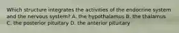 Which structure integrates the activities of the endocrine system and the nervous system? A. the hypothalamus B. the thalamus C. the posterior pituitary D. the anterior pituitary