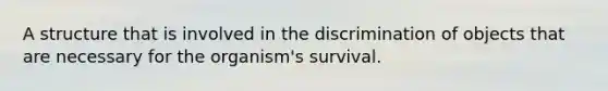 A structure that is involved in the discrimination of objects that are necessary for the organism's survival.