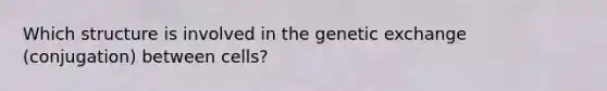 Which structure is involved in the genetic exchange (conjugation) between cells?