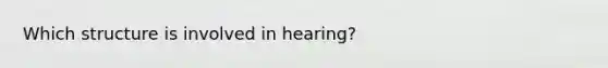 Which structure is involved in hearing?