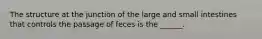 The structure at the junction of the large and small intestines that controls the passage of feces is the ______.