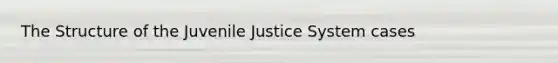 The Structure of the Juvenile Justice System cases