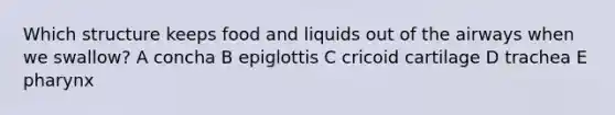 Which structure keeps food and liquids out of the airways when we swallow? A concha B epiglottis C cricoid cartilage D trachea E pharynx