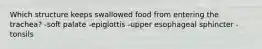 Which structure keeps swallowed food from entering the trachea? -soft palate -epiglottis -upper esophageal sphincter -tonsils