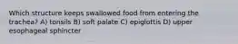 Which structure keeps swallowed food from entering the trachea? A) tonsils B) soft palate C) epiglottis D) upper esophageal sphincter