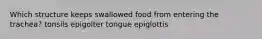 Which structure keeps swallowed food from entering the trachea? tonsils epigoiter tongue epiglottis