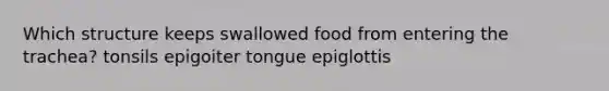 Which structure keeps swallowed food from entering the trachea? tonsils epigoiter tongue epiglottis