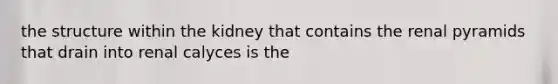the structure within the kidney that contains the renal pyramids that drain into renal calyces is the