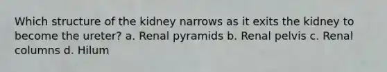 Which structure of the kidney narrows as it exits the kidney to become the ureter? a. Renal pyramids b. Renal pelvis c. Renal columns d. Hilum
