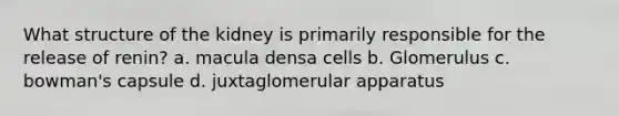 What structure of the kidney is primarily responsible for the release of renin? a. macula densa cells b. Glomerulus c. bowman's capsule d. juxtaglomerular apparatus