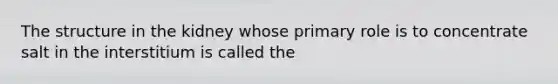 The structure in the kidney whose primary role is to concentrate salt in the interstitium is called the