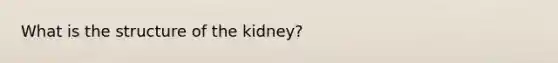 What is the structure of the kidney?