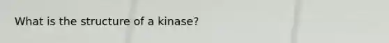 What is the structure of a kinase?