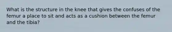 What is the structure in the knee that gives the confuses of the femur a place to sit and acts as a cushion between the femur and the tibia?