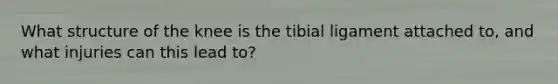 What structure of the knee is the tibial ligament attached to, and what injuries can this lead to?