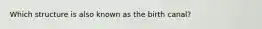 Which structure is also known as the birth canal?