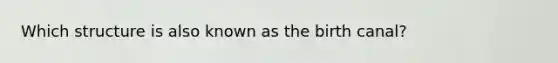 Which structure is also known as the birth canal?