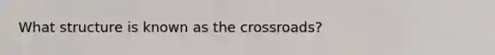 What structure is known as the crossroads?