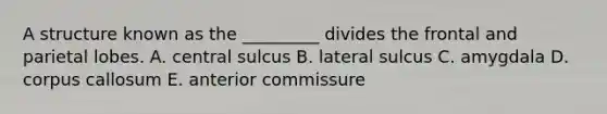 A structure known as the _________ divides the frontal and parietal lobes. A. central sulcus B. lateral sulcus C. amygdala D. corpus callosum E. anterior commissure