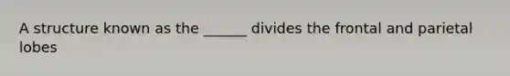 A structure known as the ______ divides the frontal and parietal lobes