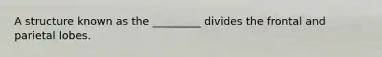 A structure known as the _________ divides the frontal and parietal lobes.