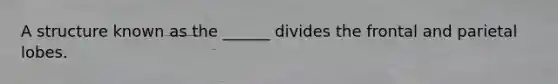 A structure known as the ______ divides the frontal and parietal lobes.