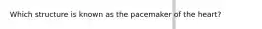 Which structure is known as the pacemaker of the heart?