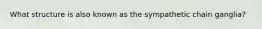 What structure is also known as the sympathetic chain ganglia?